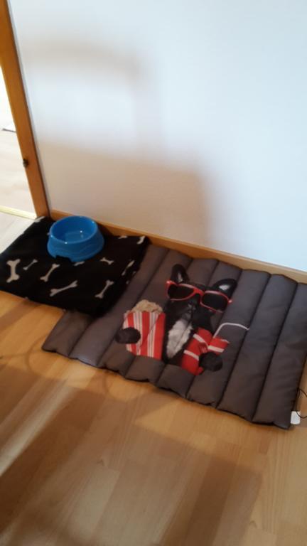 Lulu Apartment *